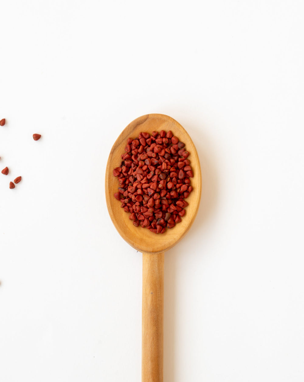 Annatto Samen (Achiote): Geschmack, Färbekraft & Verwendung der roten Verführung